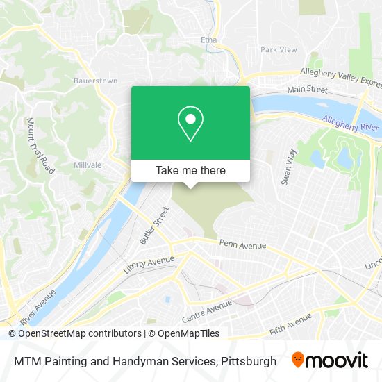 MTM Painting and Handyman Services map