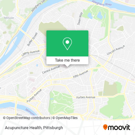 Mapa de Acupuncture Health