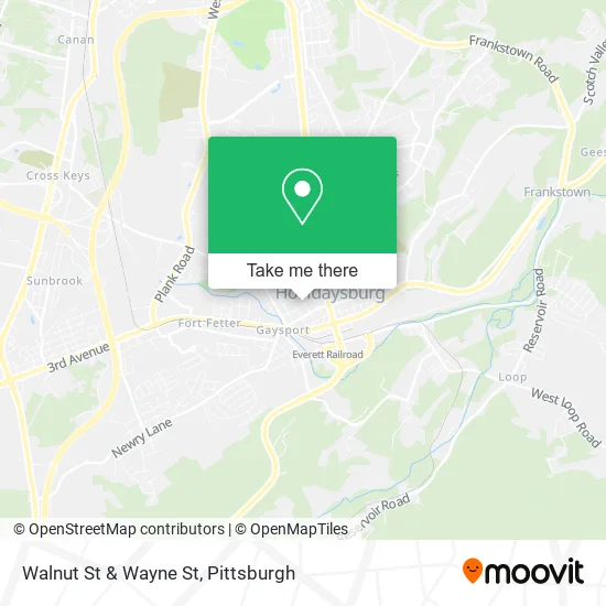 Walnut St & Wayne St map