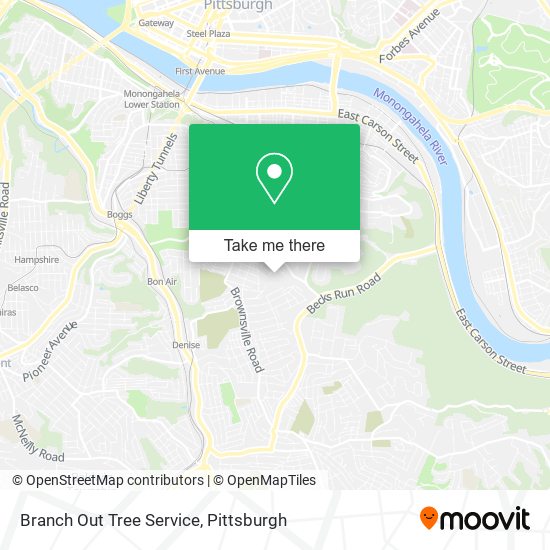 Mapa de Branch Out Tree Service
