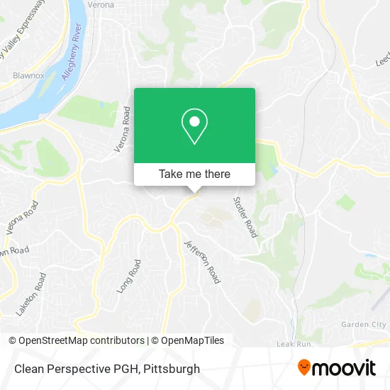Clean Perspective PGH map