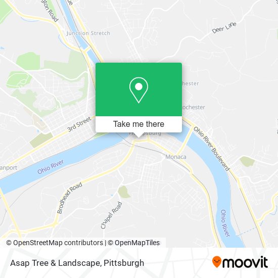 Asap Tree & Landscape map