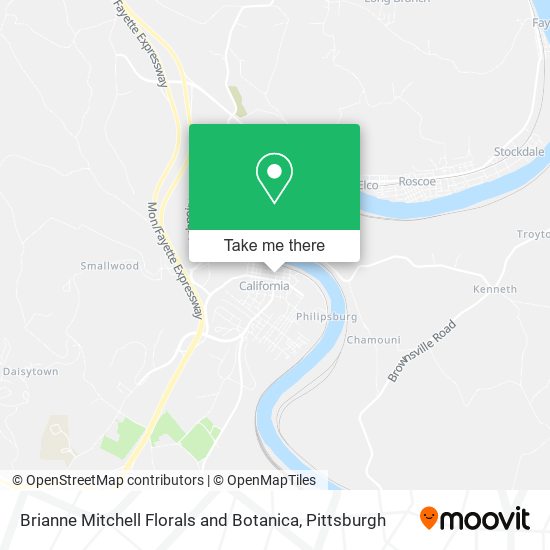 Brianne Mitchell Florals and Botanica map