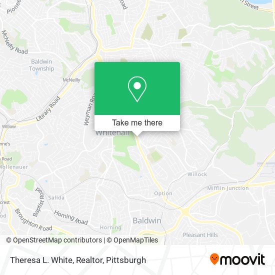 Theresa L. White, Realtor map