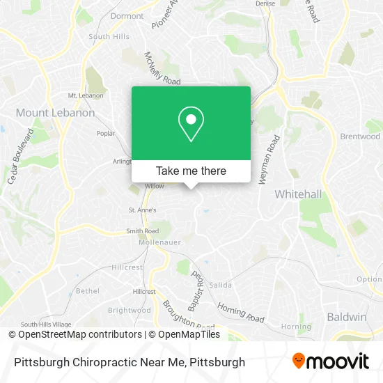 Pittsburgh Chiropractic Near Me map