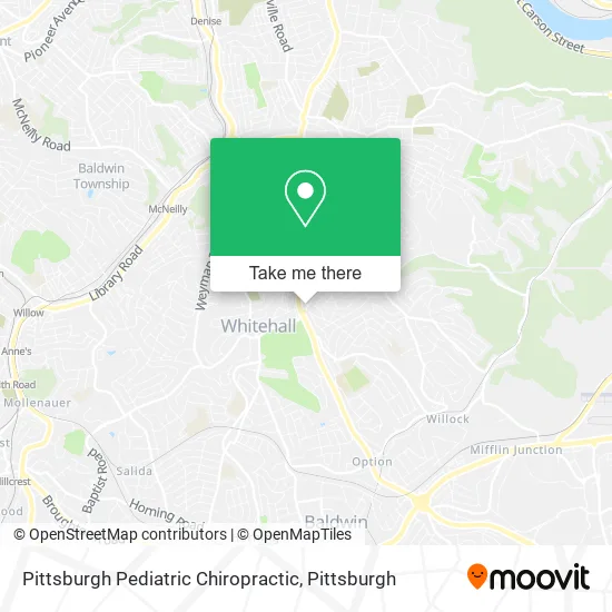 Pittsburgh Pediatric Chiropractic map