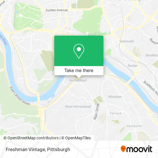 Freshman Vintage map