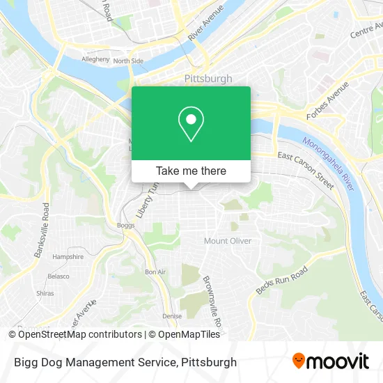Bigg Dog Management Service map