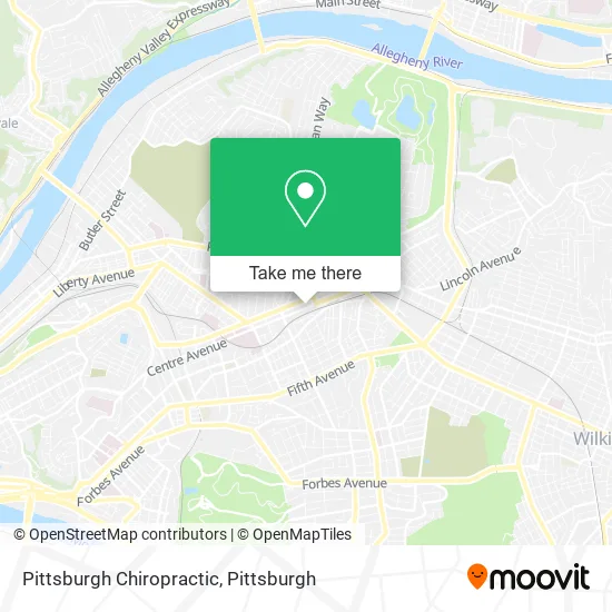 Pittsburgh Chiropractic map