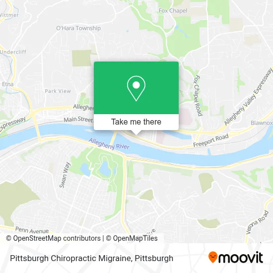 Pittsburgh Chiropractic Migraine map