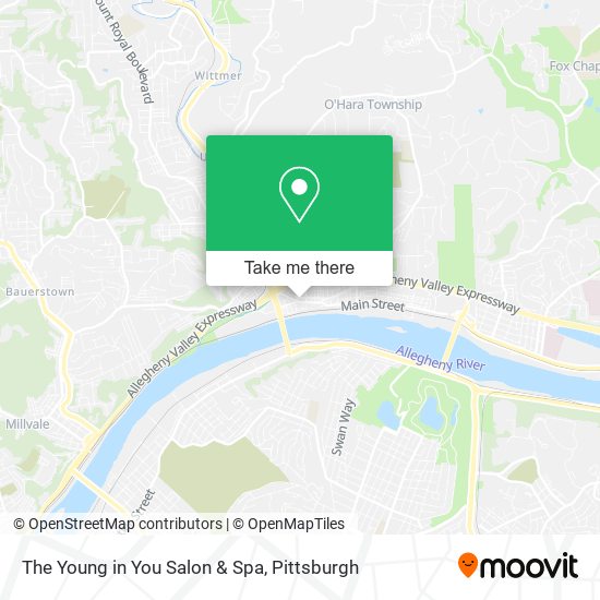 The Young in You Salon & Spa map