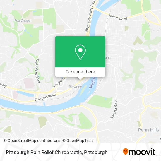 Pittsburgh Pain Relief Chiropractic map