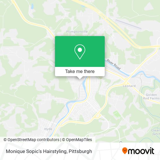 Monique Sopic's Hairstyling map