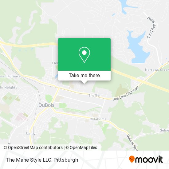 The Mane Style LLC map