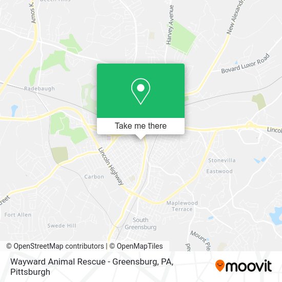 Mapa de Wayward Animal Rescue - Greensburg, PA