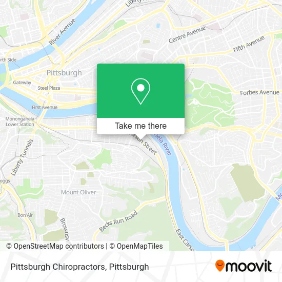 Pittsburgh Chiropractors map