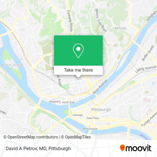 David A Petrov, MD map