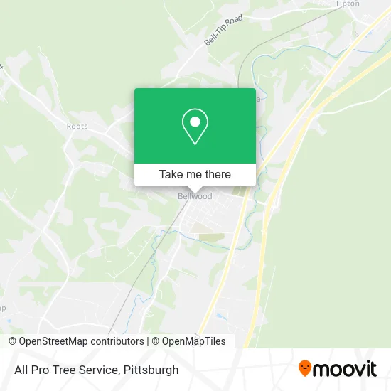 All Pro Tree Service map