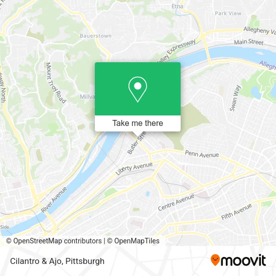 Cilantro & Ajo map