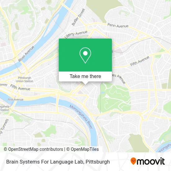 Brain Systems For Language Lab map