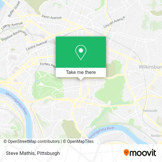 Steve Mathis map