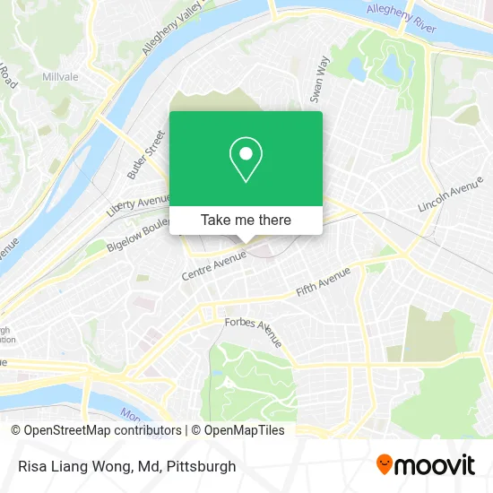 Risa Liang Wong, Md map