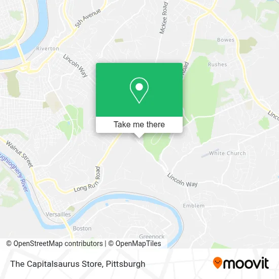 The Capitalsaurus Store map