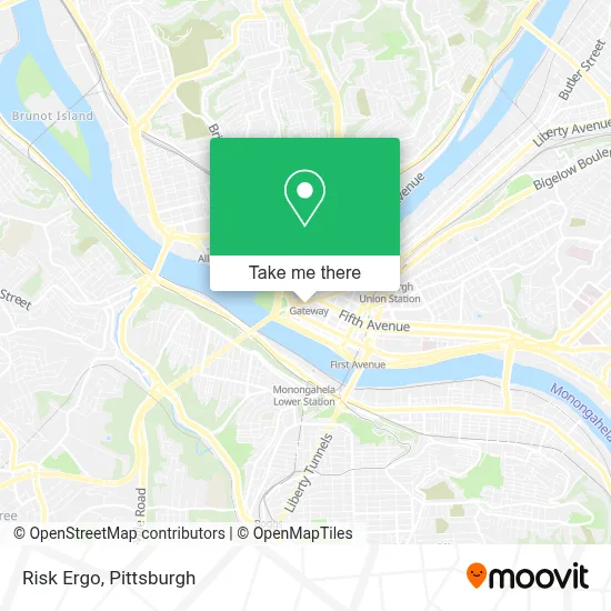 Risk Ergo map