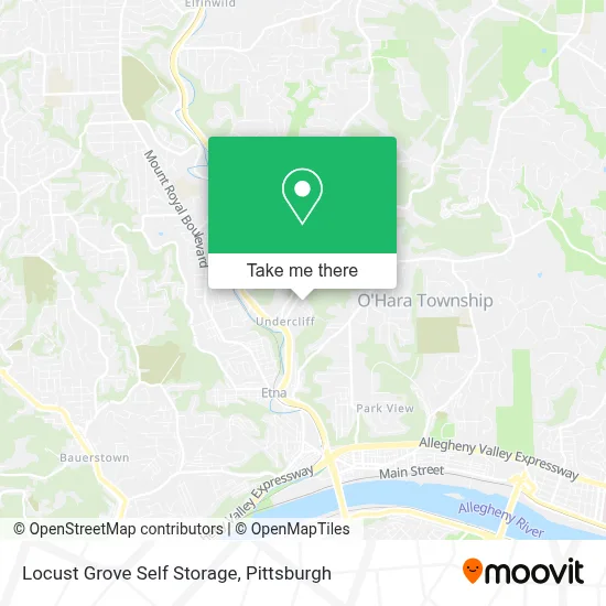 Locust Grove Self Storage map