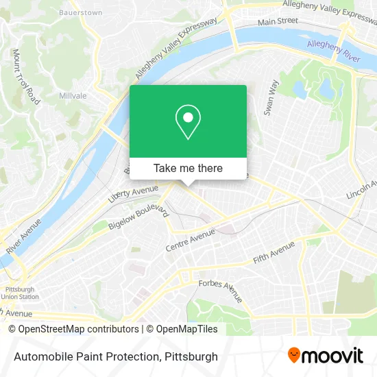 Automobile Paint Protection map