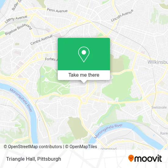 Triangle Hall map