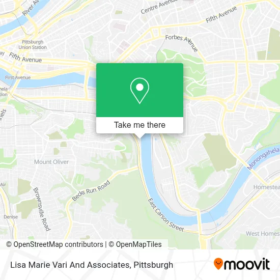 Lisa Marie Vari And Associates map
