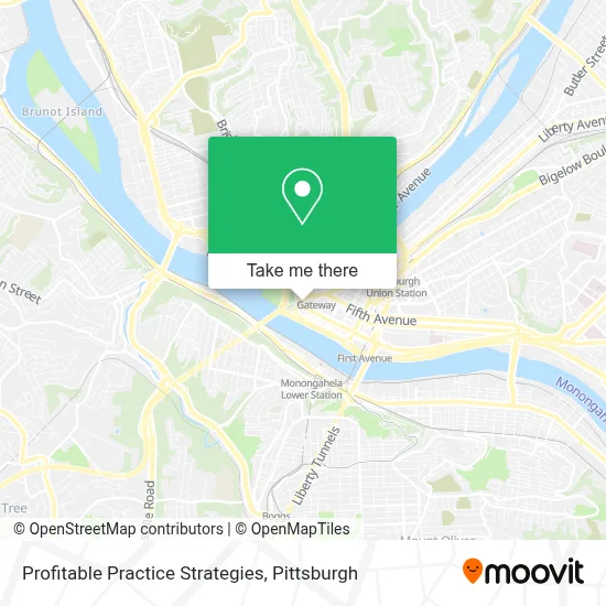 Profitable Practice Strategies map