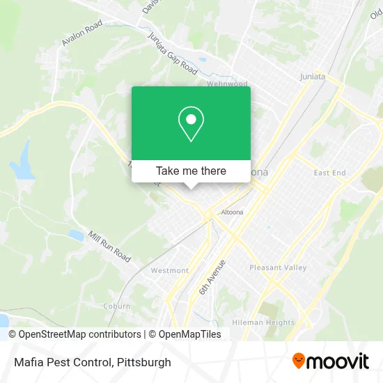 Mafia Pest Control map