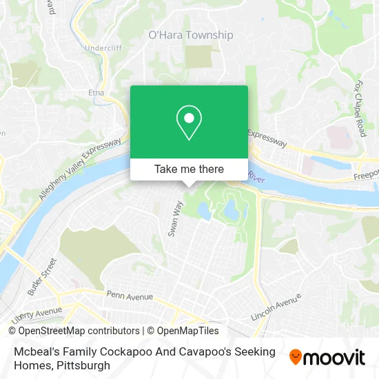 Mcbeal's Family Cockapoo And Cavapoo's Seeking Homes map