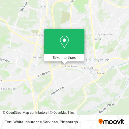 Toni White Insurance Services map