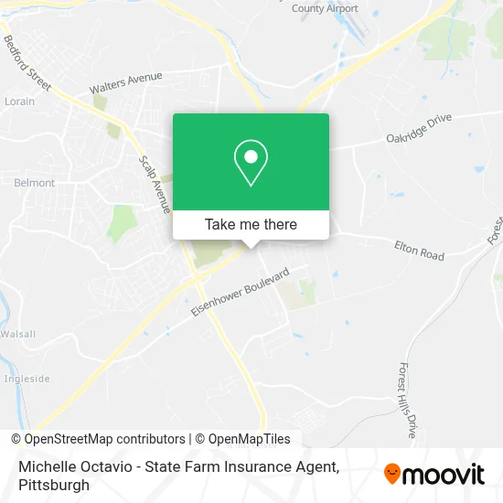 Michelle Octavio - State Farm Insurance Agent map
