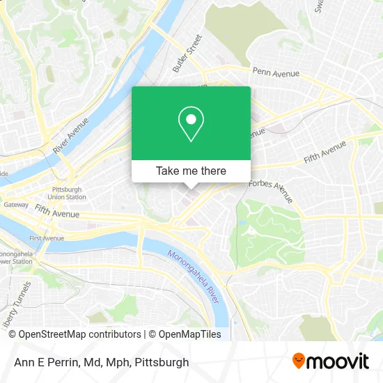 Ann E Perrin, Md, Mph map
