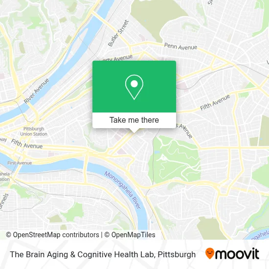 The Brain Aging & Cognitive Health Lab map