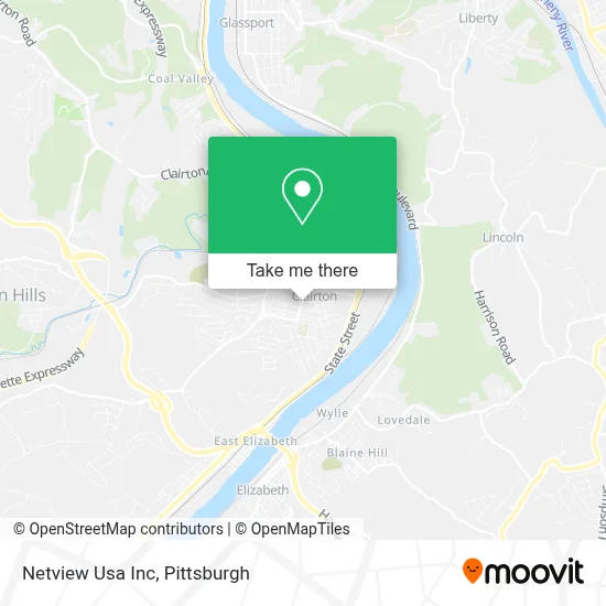 Netview Usa Inc map