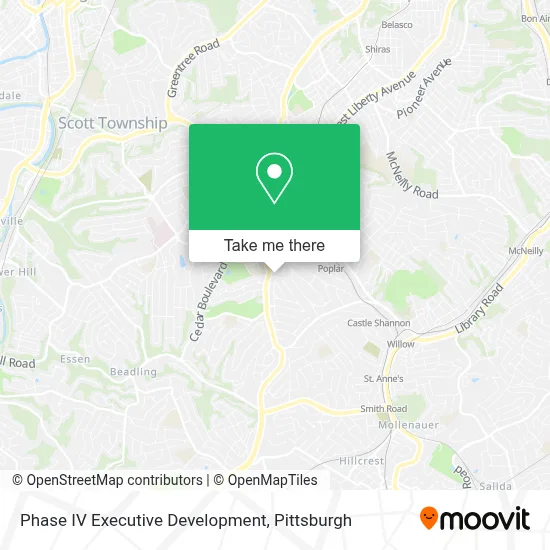 Phase IV Executive Development map