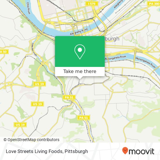 Mapa de Love Streets Living Foods, 91 Westwood St Pittsburgh, PA 15211