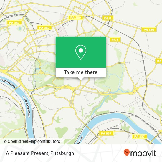 Mapa de A Pleasant Present, 2301 Murray Ave Pittsburgh, PA 15217