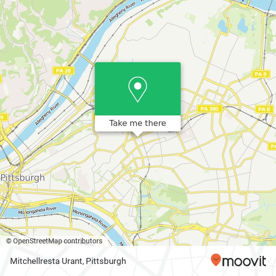 Mitchellresta Urant, 4632 Centre Ave Pittsburgh, PA 15213 map