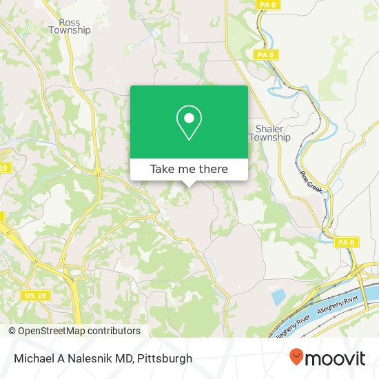 Michael A Nalesnik MD map