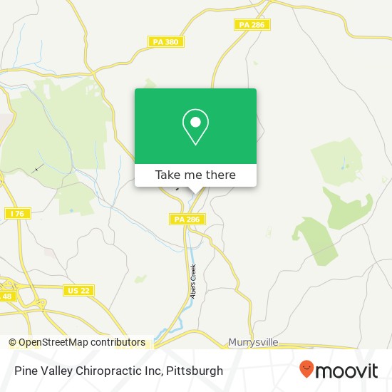 Pine Valley Chiropractic Inc map