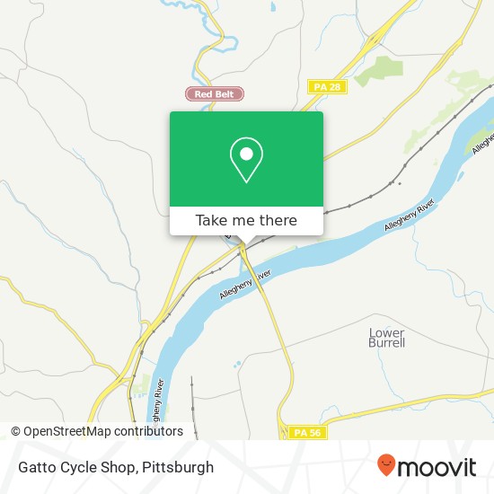 Gatto Cycle Shop map