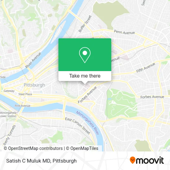 Satish C Muluk MD map