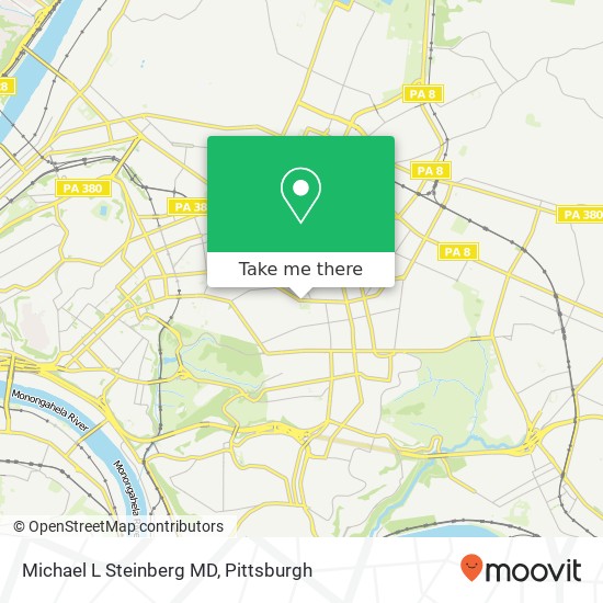 Michael L Steinberg MD map