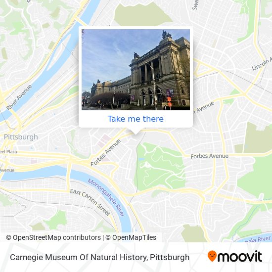 Mapa de Carnegie Museum Of Natural History